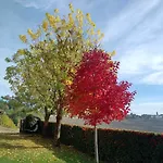 Cascina Cortine Bed & Breakfast