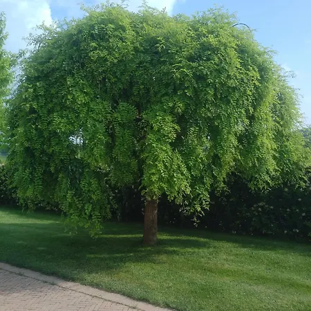 Cascina Cortine Alojamento de Acomodação e Pequeno-almoço