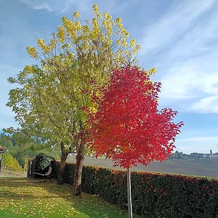 Cascina Cortine Bed & Breakfast 4*