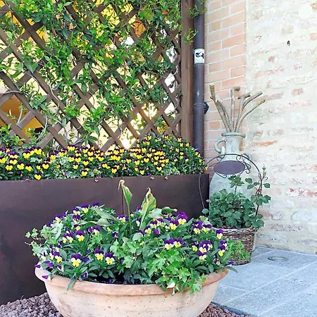 Cascina Cortine