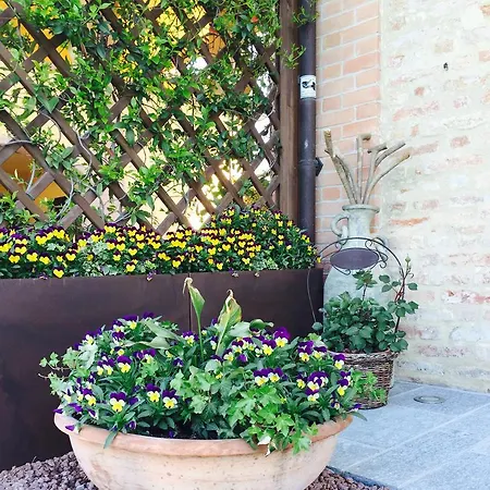 Oda ve Kahvaltı Cascina Cortine